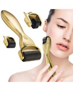 Aparat Facial Mezoterapie cu Ace, Otel Inoxidabil, 3 in 1