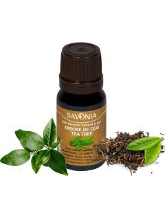 Arbore de Ceai (Tea Tree) - Ulei Esential Natural si Pur (uz extern)