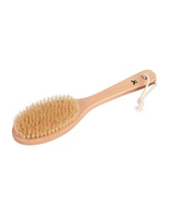 Perie corp,ovala, maner nedetasabil, 30 cm