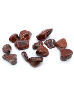 Piatra Mare Neteda - Lemn Pietrificat (1 bucata)
