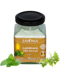 Roinita si Menta Creata - Lumanare 100% Naturala 200 g, Savonia