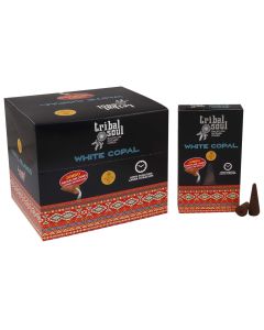 Conuri Parfumate Tribale - Copal Alb, 10 bucăți