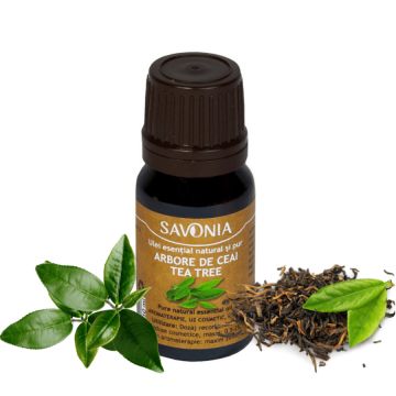 Arbore de Ceai (Tea Tree) - Ulei Esential Natural si Pur (uz extern)