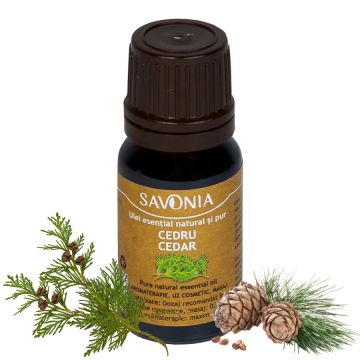Cedru - Ulei Esential Natural si Pur (uz extern)