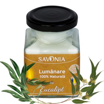 Eucalipt - Lumanare 100% Naturala 200 g, Savonia