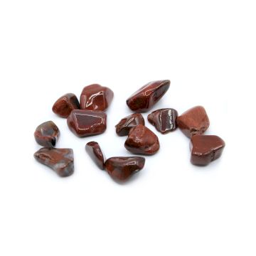 Piatra Mare Neteda - Lemn Pietrificat (1 bucata)