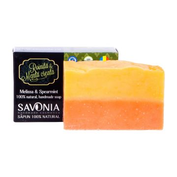 Sapun Natural Roinita si Menta Creata - Savonia